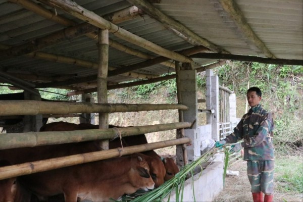 Lạng Sơn: Xã Tân Văn chuyển mình từ rừng đồi, giảm nghèo bền vững từ những mô hình sinh kế xanh